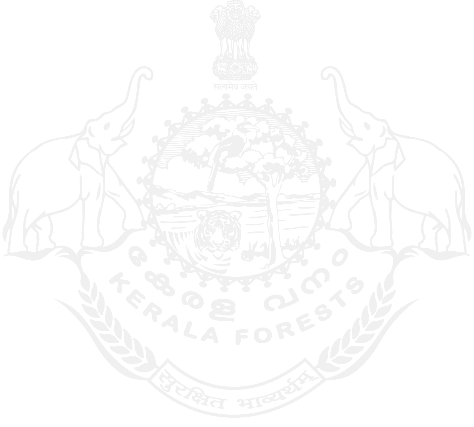 Kerala Forest Dept